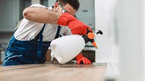 Best Commercial Pest Control  in Graham, TX